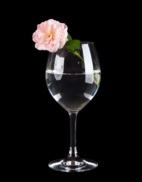 Glass with water and flower isolated on black background — Stock Photo, Image