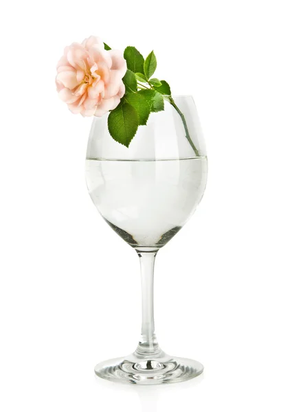 Kieliszek do wina z wodą i różowy kwiat róży na białym tle — Zdjęcie stockowe