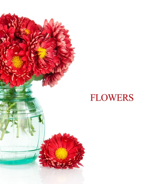 Bouquet of red autumn chrysanthemum flowers in vase — Stock Photo, Image