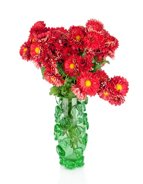 Huge bunch of red autumn chrysanthemum flowers in green vase, i — Stock Photo, Image