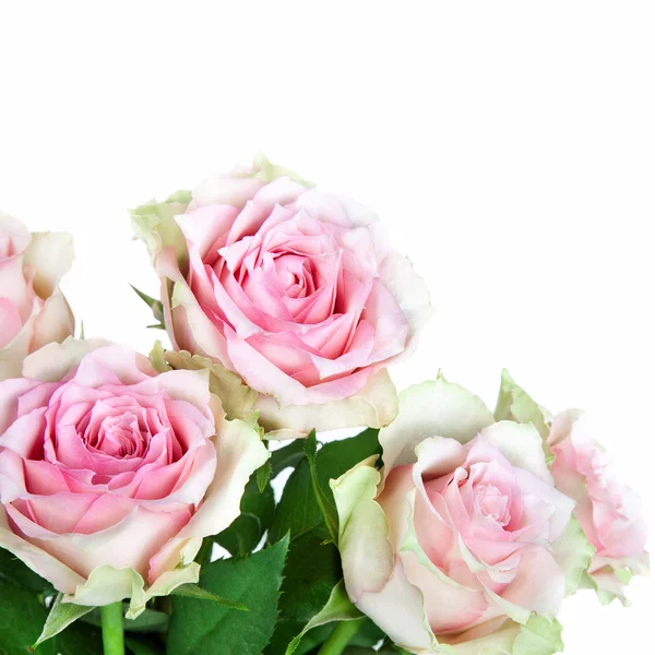 Beautiful bouquet of roses — Stock Photo, Image