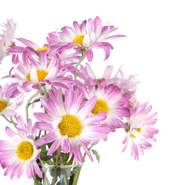 Bunch of Flowers — Stock Photo, Image