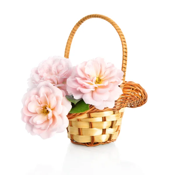 Hermosas rosas rosadas flores en cesta, aisladas sobre fondo blanco —  Fotos de Stock