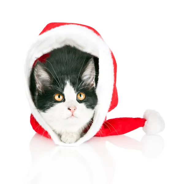 Kitten hides in red Santa Claus hat isolated on white background — Stock Photo, Image