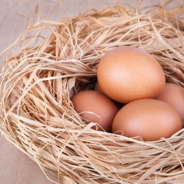 kahverengi yumurta tavuk çiftliğinde saman Nest makro çekimi