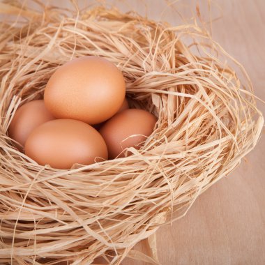 kahverengi yumurta tavuk çiftliğinde saman Nest makro çekimi