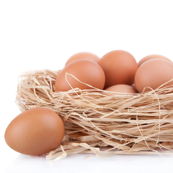 kahverengi yumurta tavuk çiftliğinde, saman Nest izole makro çekimi