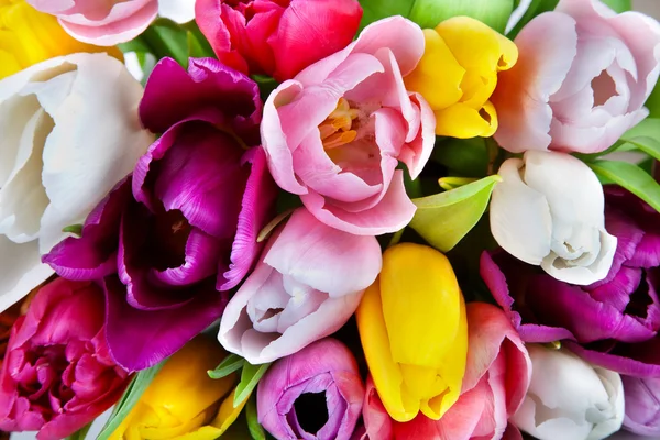 Tulpen - schöne Frühlingsblumen. Hintergrund — Stockfoto