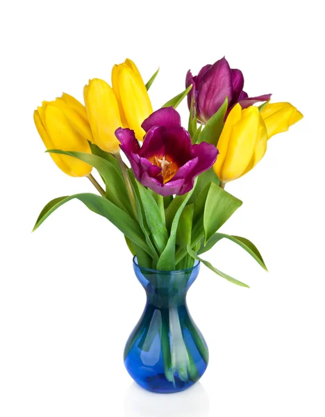Tulipany w wazonie niebieski na białym tle — Zdjęcie stockowe