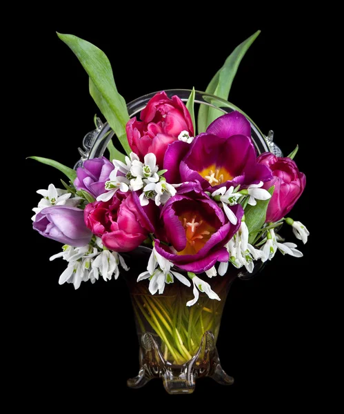 Vase mit schönen Tulpen Blumen und Schneeglöckchen isoliert auf schwarz — Stockfoto