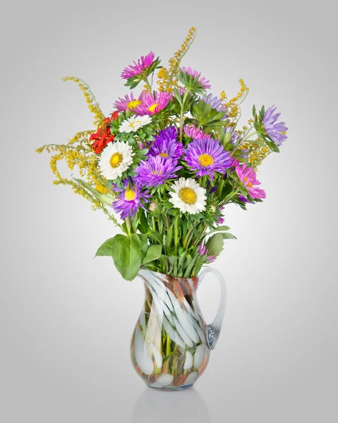 Asters bouquet in vase — Stock Photo, Image