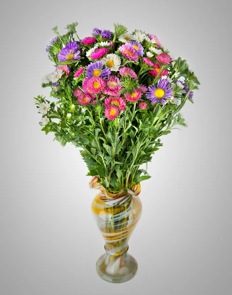 Bouquet d'huîtres. Belles fleurs en vase — Photo