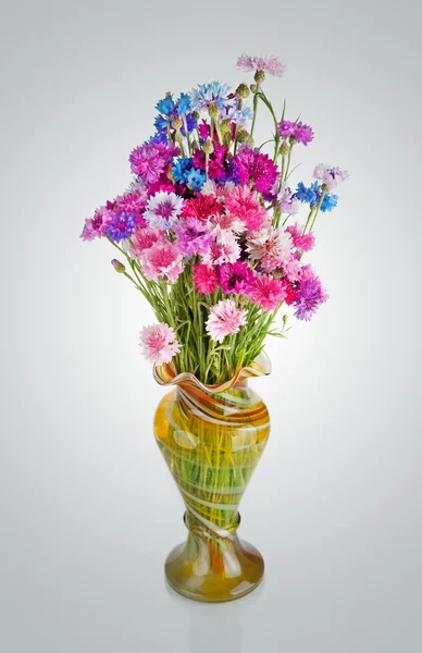 Bouquet of many beautiful multi-colored cornflowers flowers in — Stock Photo, Image