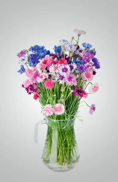 Bouquet of many beautiful multi-colored cornflowers flowers in — Stock Photo, Image