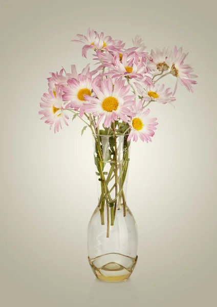 Flowers in vase — Stock Photo, Image