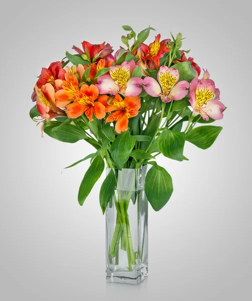 Alstroemeria flowers in vase — Stock Photo, Image