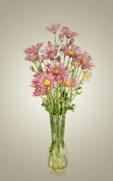 Beautiful flowers in vase — Stock Photo, Image