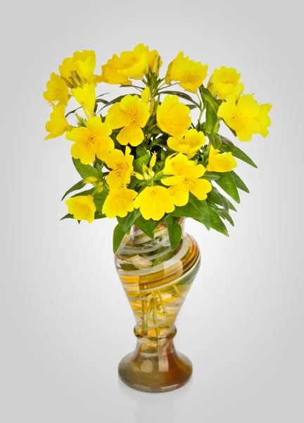 Flowers in vase — Stock Photo, Image