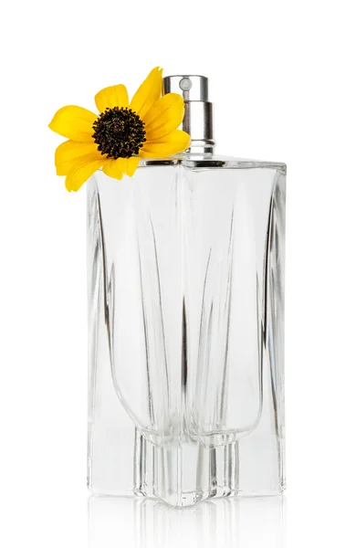 Women's flower perfume in beautiful bottle — Stock Photo, Image