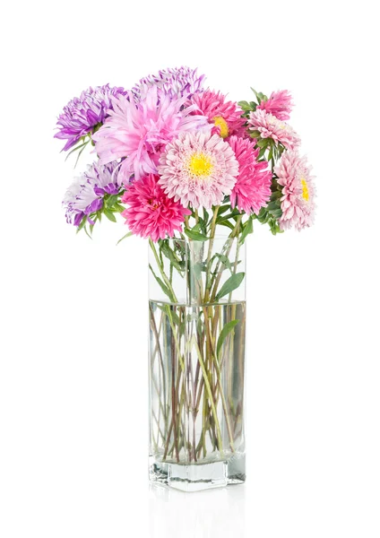 Asters bouquet. Beautiful flowers in vase isolated on white — Stock Photo, Image