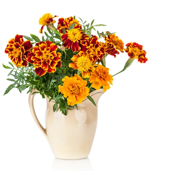 Kwiaty krzewu szafran (tagetes) - stosowany jako przyprawa i leczniczych roślin-w Dzbanek ceramiczny — Zdjęcie stockowe