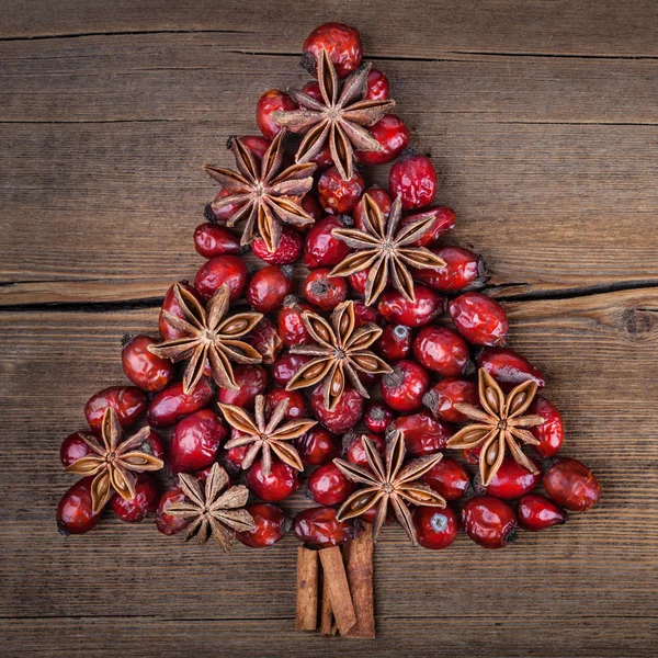 A karácsonyfa, fahéj, ánizs és kutya-rose. nézett-ból fenti — Stock Fotó