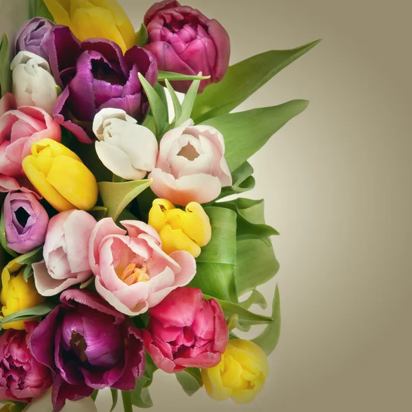 Mooie tulpen boeket geïsoleerd op witte achtergrond — Stockfoto