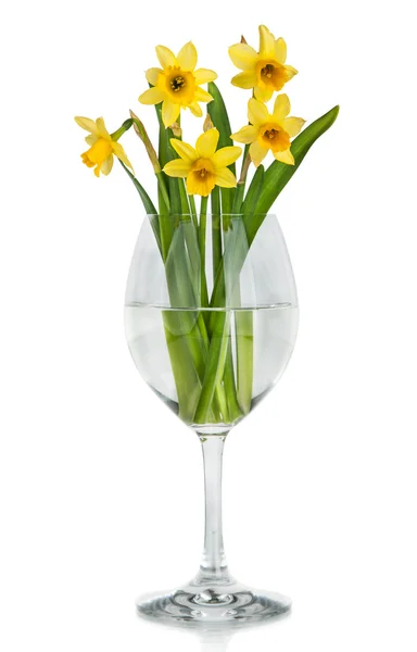 Flores amarelas bonitas de Daffodils no vaso isolado no fundo branco — Fotografia de Stock