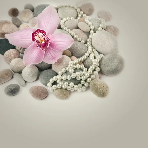 Spa taşları, pembe orkide çiçek ve inciler