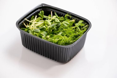 Taze mikro yeşiller. Plastik kutuda büyüyen mikro lahanalar. Mikroçimler büyüyor. Birçok taze bezelye filizi kasede yetişir. Beyaz arka planda izole edilmiş, sağlıklı yaşam tarzı yiyecekler.