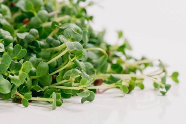 Taze mikro yeşiller. Mikro filizler. Mikroçimler büyüyor. Bir sürü taze bezelye filizi. Beyaz arka planda izole edilmiş, sağlıklı yaşam tarzı yiyecekler.