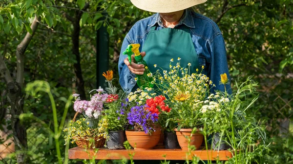 Hands Woman Planting Beautiful Flowers Garden Backyard Putting Soil Hands — Fotografia de Stock