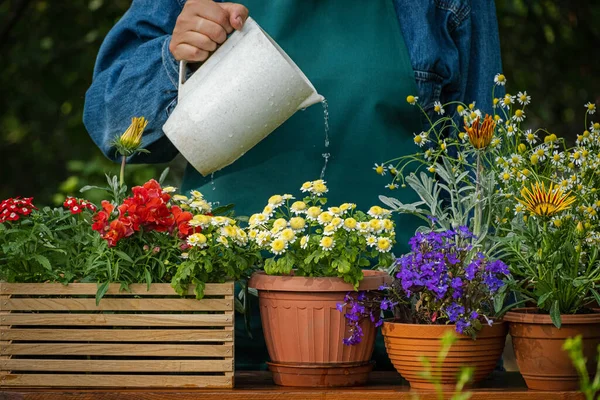 Watering Flowers Pot Sprays Water Flowerpots Garden Florist Working Takes — Fotografia de Stock