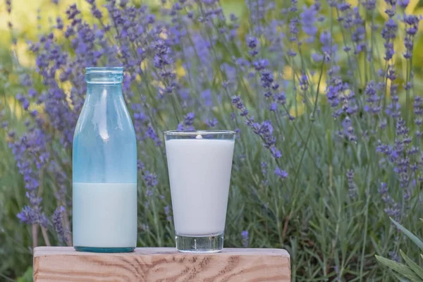 Milk in the glass. Organic food and drink. Organic milk pour from bottle outdoors. Concept of healthy eating, natural product, healthy lifestyle. Fresh milk pouring in glass slow motion