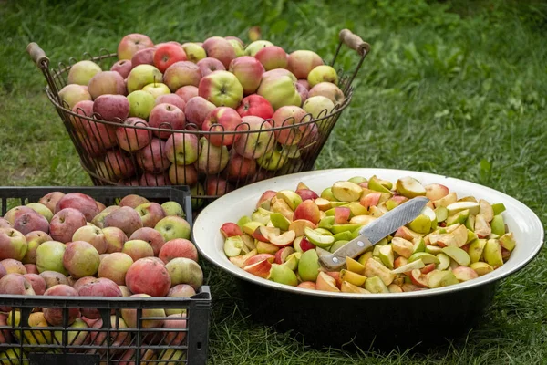 在花园里把许多苹果切成碎片 新鲜的红苹果收获 切和准备一个新鲜的苹果供食用 在室外切果子酱或果汁 — 图库照片