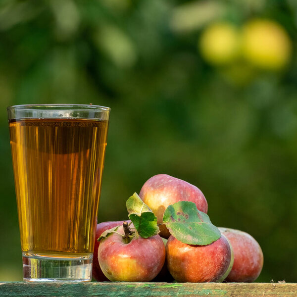 Apple juice in a glass with fresh ripe apples on a wooden table in the garden, around it are apples trees. Tasting fresh juice in the orchard in a summer day outdoors close-up