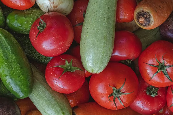 Bio Gemüse Mit Wassertropfen Auf Dem Hof Anbaukonzept Wachsende Bioprodukte — Stockfoto