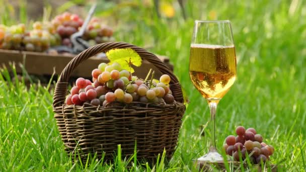 Pouring Dessert Wine Glass Bottle Vineyard Outdoors Wine Grape Harvest — Stock Video