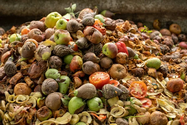 Organic Food Waste Background Bio Waste Bin Kitchen Food Scraps — Stock Photo, Image