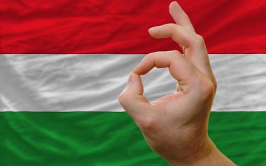 jest Macaristan bayrağı önünde ok