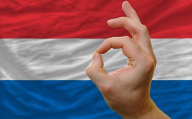 Hollanda bayrağı önünde bir jest ok
