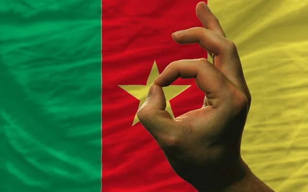 Ok geste devant le drapeau national camerounais — Photo