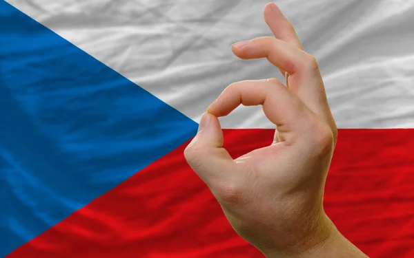 Ok gesture in front of czech national flag — Stock Photo, Image