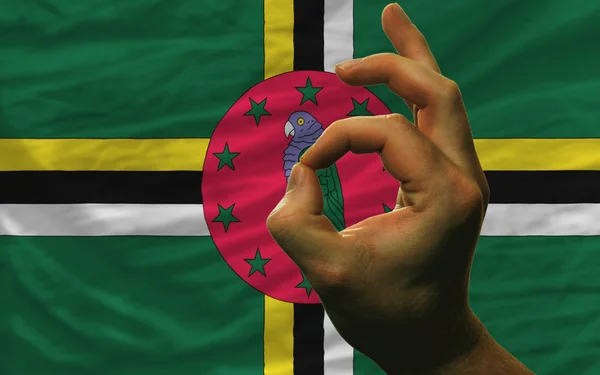 Ok gesture in front of dominica national flag — Stock Photo, Image