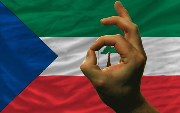 Ok geste devant le drapeau national de la Guinée équatoriale — Photo