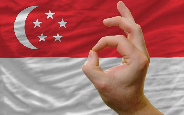 OK gebaar voor singapore nationale vlag — Stockfoto