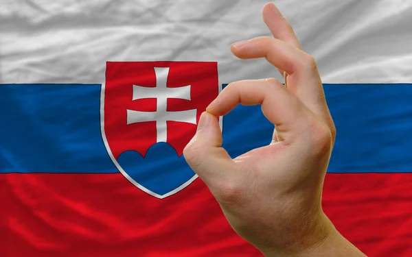 OK gest framför Slovakien nationella flagga — Stockfoto