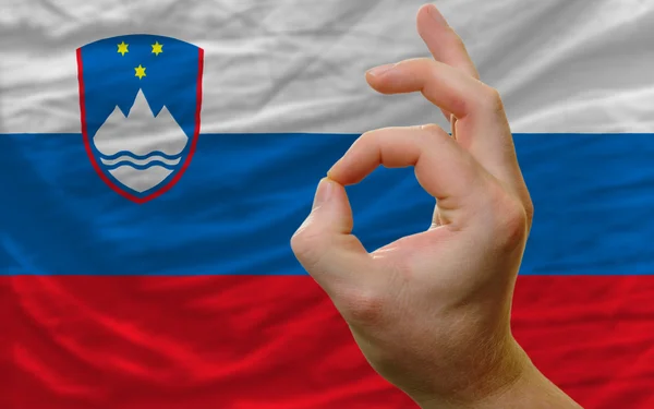 Ok gesto frente a la bandera nacional slovenia — Foto de Stock