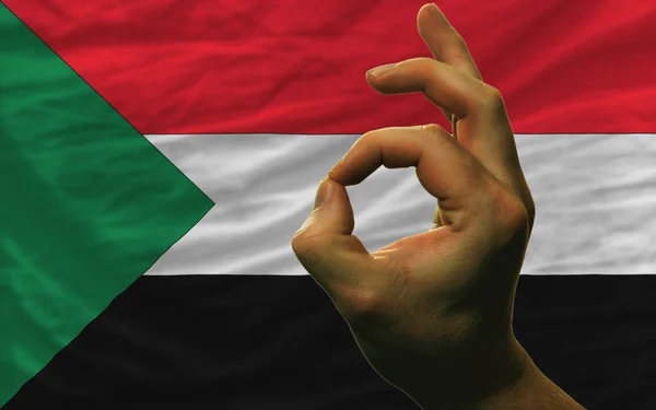 Εντάξει χειρονομία μπροστά από την εθνική σημαία του Σουδάν — Φωτογραφία Αρχείου