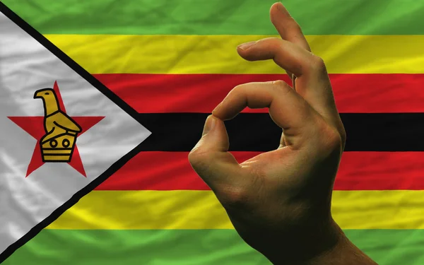 OK gest framför Zimbabwes flagga — Stockfoto